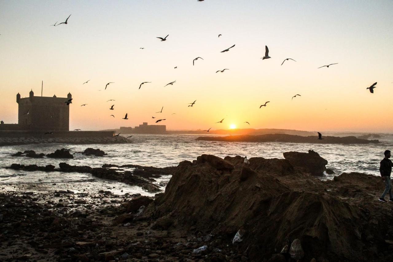 The Chill Art Hostel Essaouira Exterior photo